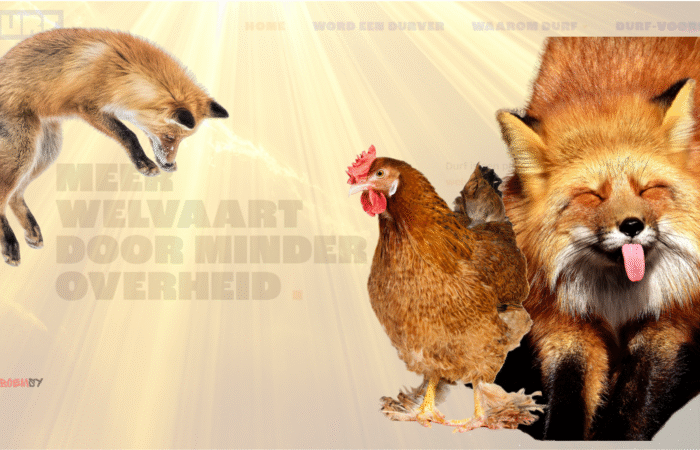 Durf het daglicht te zien